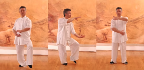 Qi gong des 5 organes